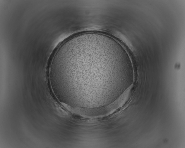 X0000094421308200711211401