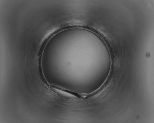 X0000094421309200711211401