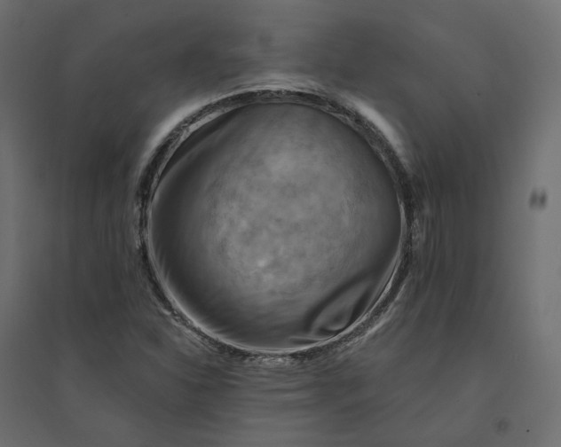 X0000094421310200711211401