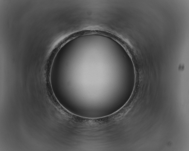X0000094421311200711211401