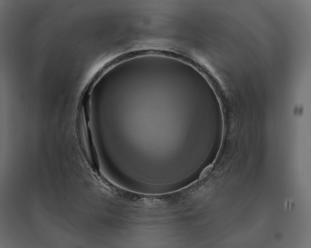 X0000094421312200711211401