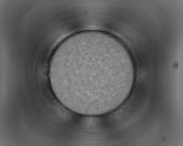 X0000094421314200711211401