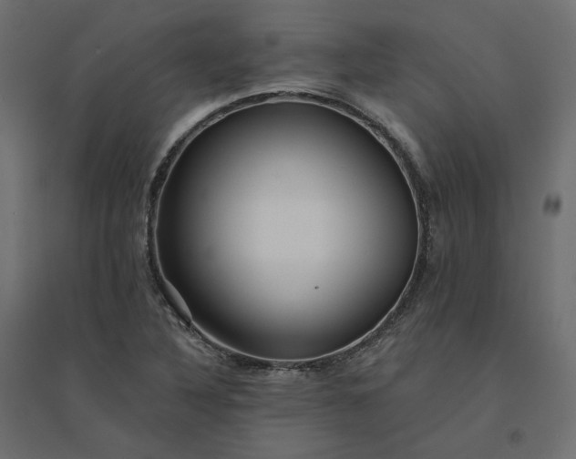 X0000094421316200711211401