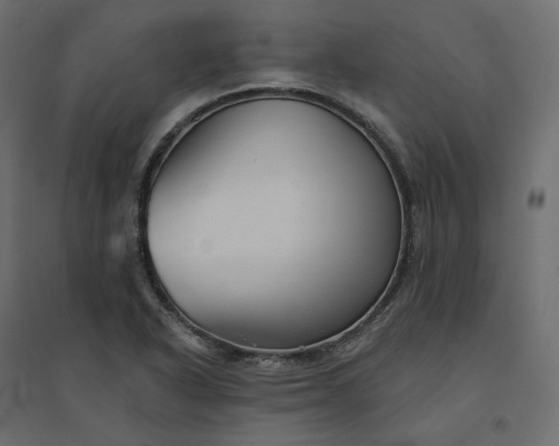 X0000094421318200711211401