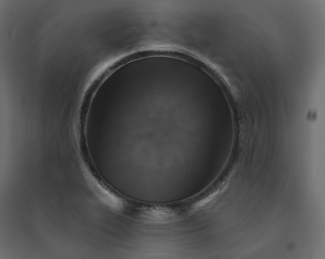X0000094421319200711211401