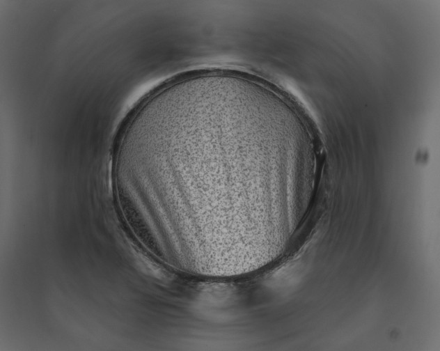 X0000094421320200711211401