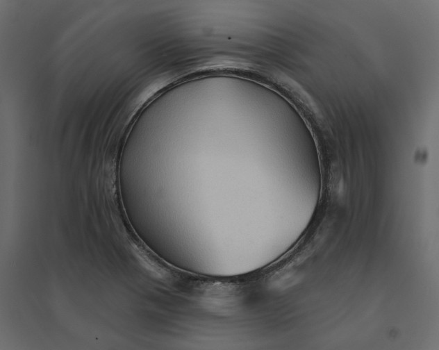 X0000094421321200711211401
