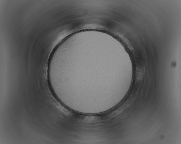 X0000094421322200711211401