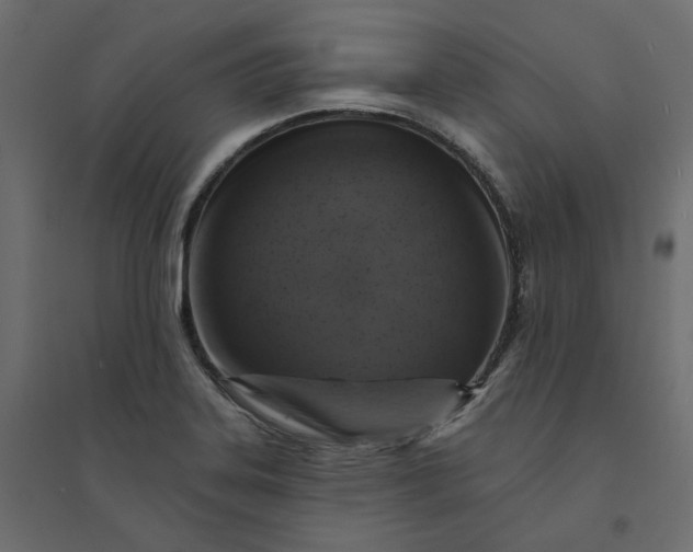 X0000094421323200711211401