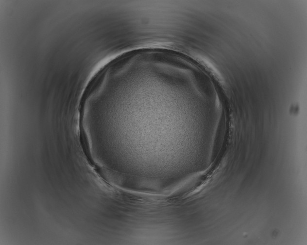 X0000094421324200711211401