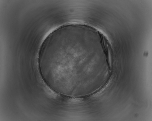 X0000094421325200711211401