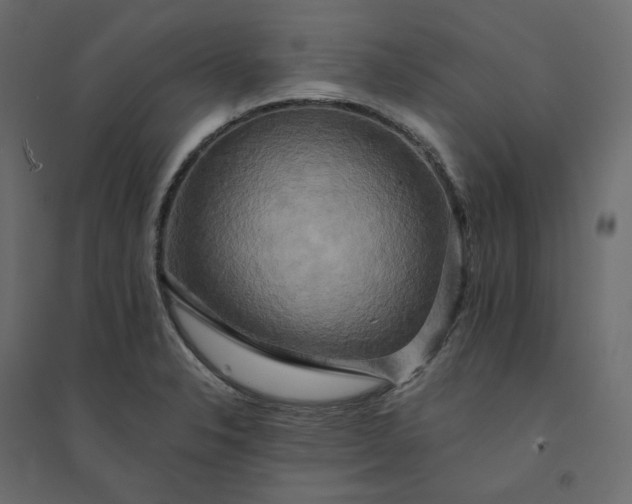 X0000094421326200711211401