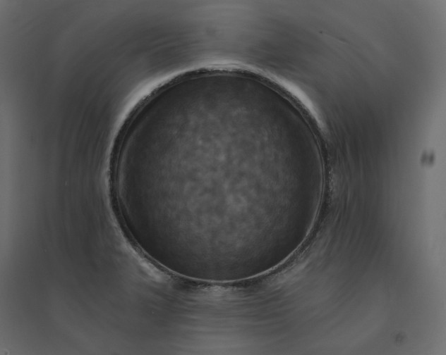 X0000094421327200711211402