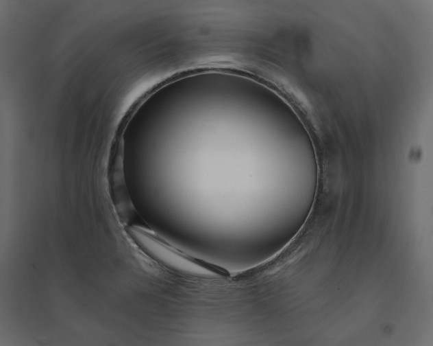 X0000094421328200711211402