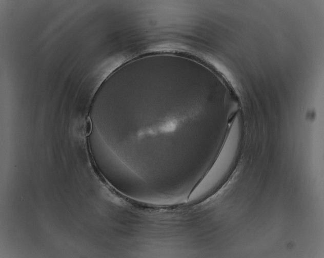 X0000094421329200711211402