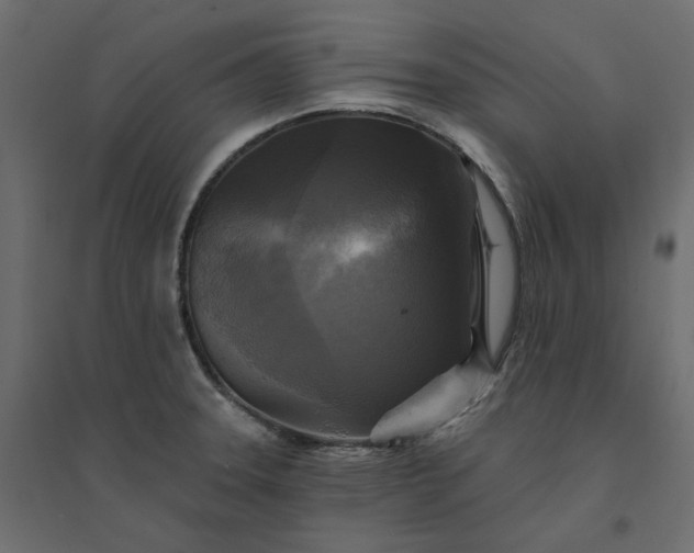 X0000094421331200711211402