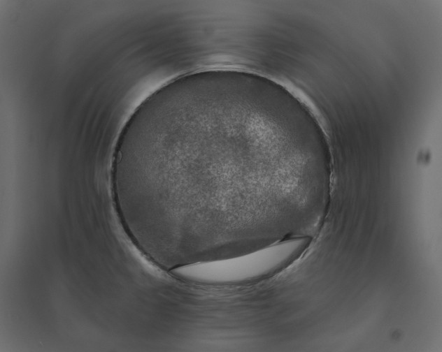 X0000094421333200711211402
