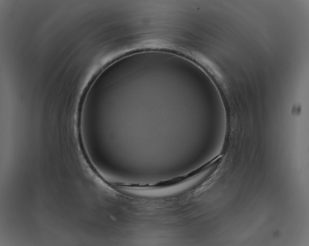 X0000094421334200711211402