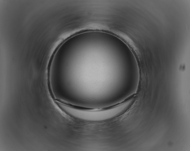 X0000094421335200711211402
