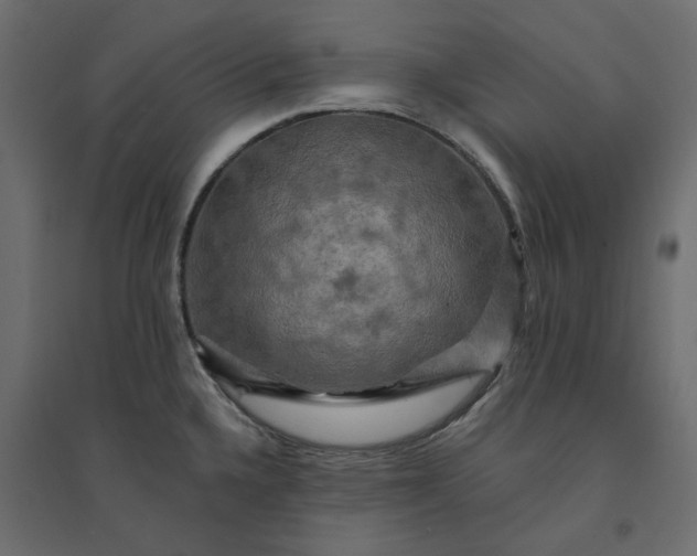 X0000094421336200711211402