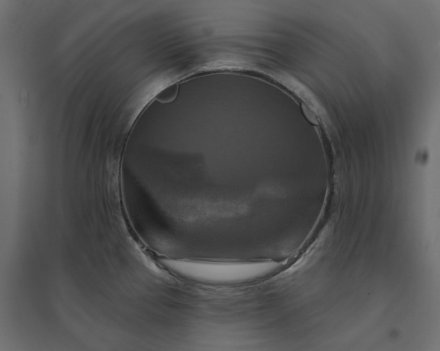 X0000094421337200711211402