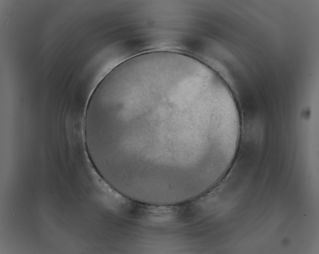 X0000094421338200711211402