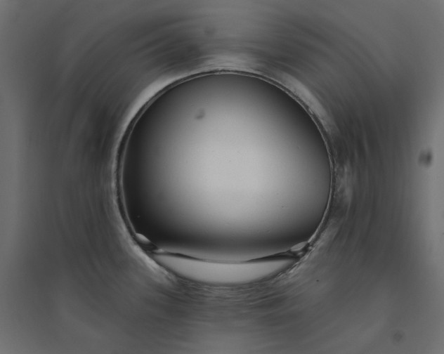 X0000094421339200711211402