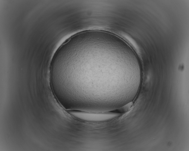 X0000094421340200711211402
