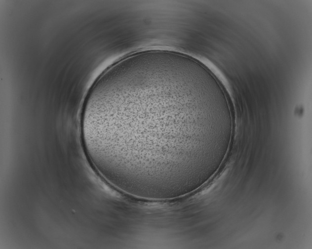 X0000094421341200711211402