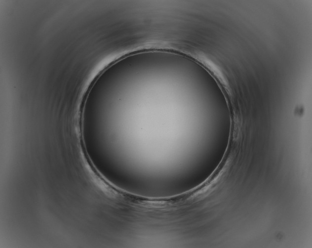 X0000094421342200711211402