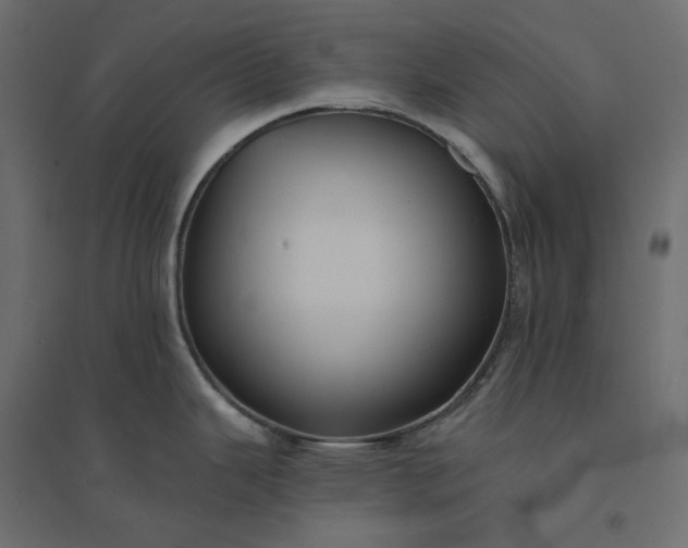X0000094421343200711211402