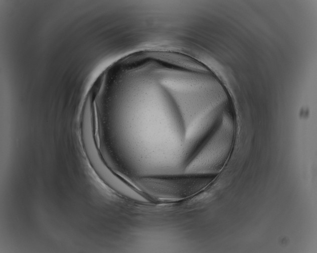 X0000094421344200711211402