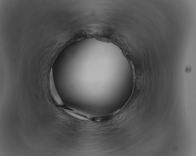 X0000094421345200711211401