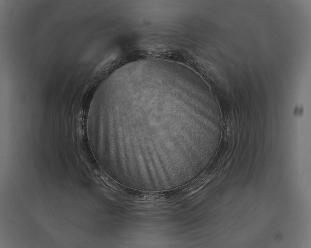 X0000094421346200711211401