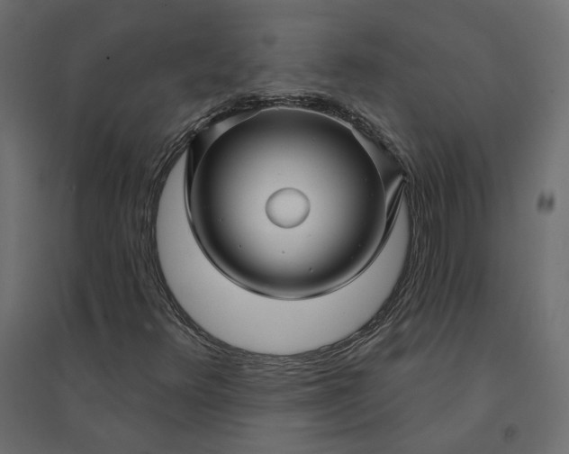 X0000094421348200711211401