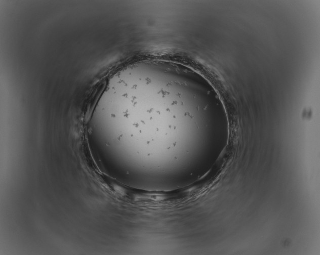 X0000094421349200711211401