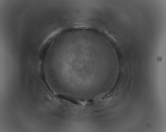 X0000094421351200711211401
