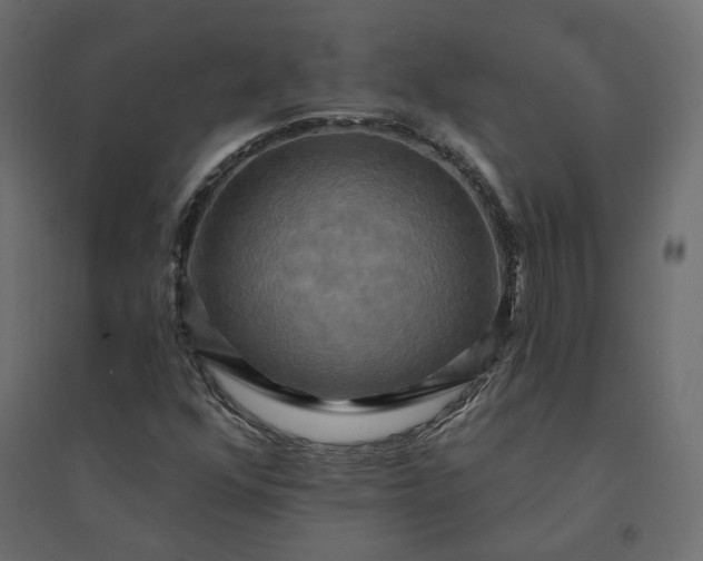 X0000094421352200711211401
