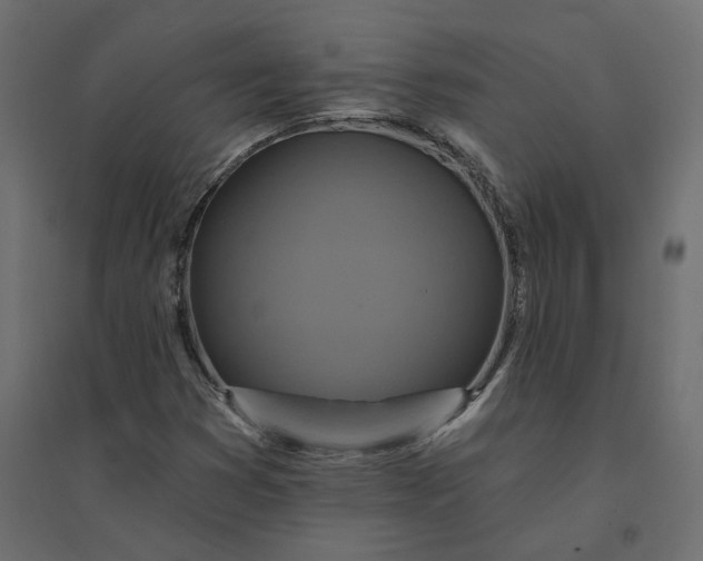 X0000094421353200711211401