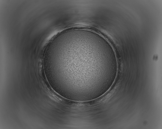 X0000094421355200711211401