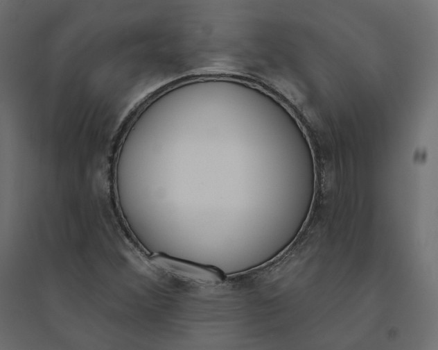 X0000094421356200711211401