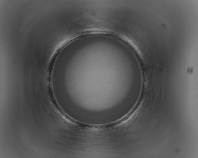 X0000094421357200711211401