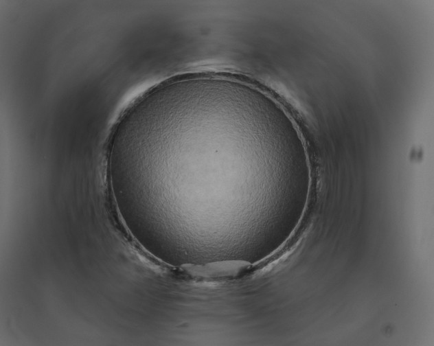 X0000094421358200711211401
