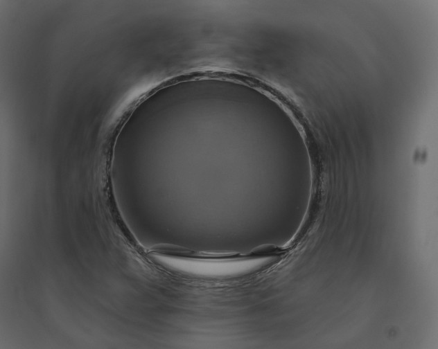 X0000094421359200711211401