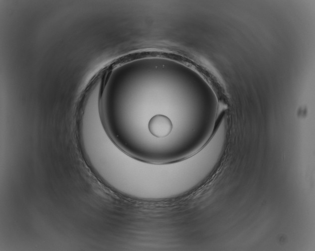 X0000094421360200711211401