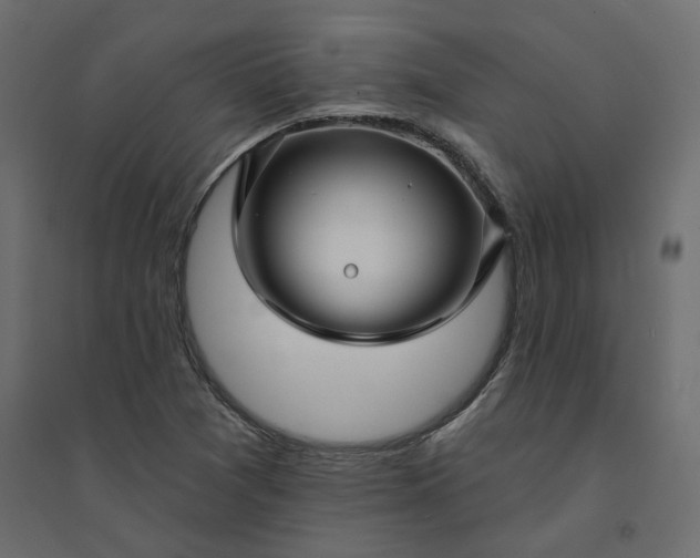 X0000094421361200711211401