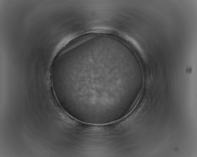 X0000094421362200711211401