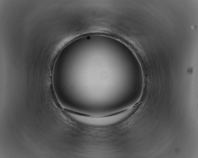 X0000094421363200711211401