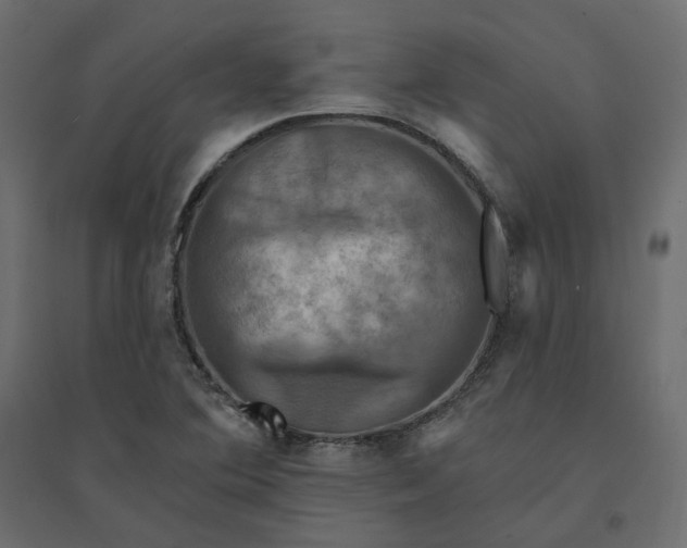 X0000094421364200711211401