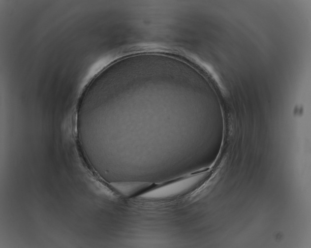 X0000094421365200711211401